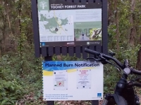 Toohey Forest Planned Burn